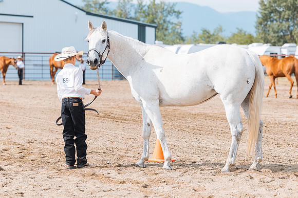 DAY3HORSE32
