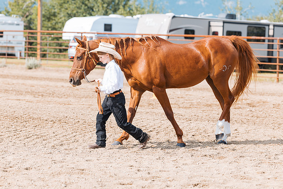 DAY3HORSE33
