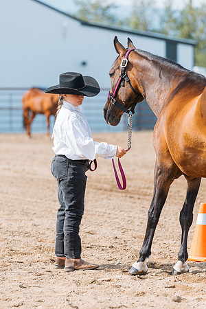 DAY3HORSE35