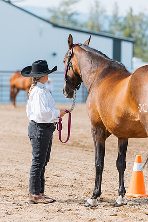 DAY3HORSE36