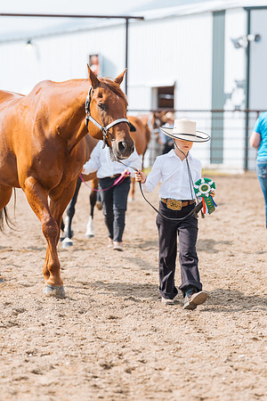 DAY3HORSE37