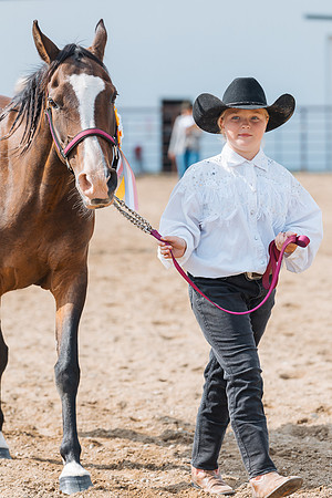 DAY3HORSE41