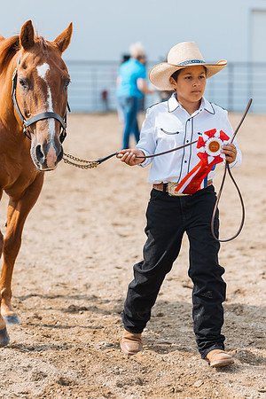DAY3HORSE43