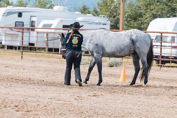 DAY3HORSE47