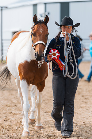 DAY3HORSE49