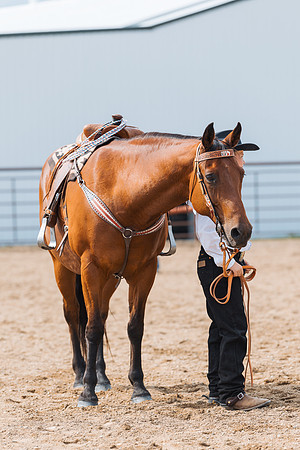 DAY3HORSE57