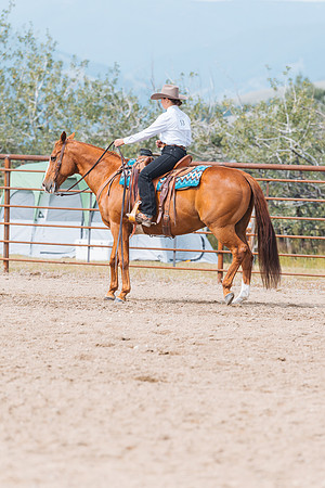 DAY3HORSE59