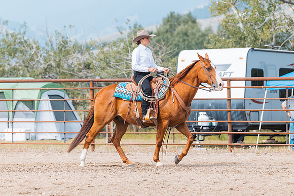 DAY3HORSE60