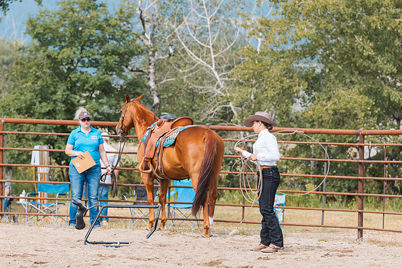 DAY3HORSE61