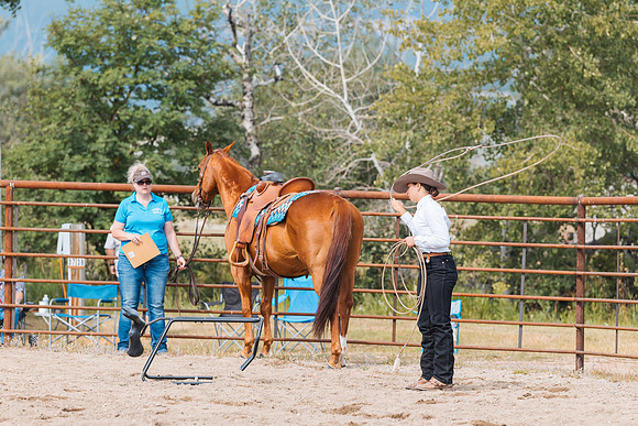 DAY3HORSE62