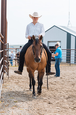 DAY3HORSE64