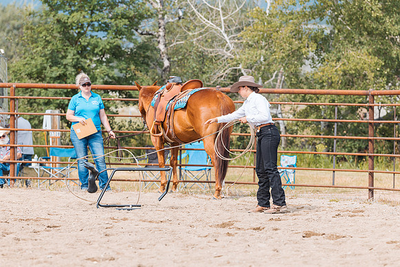 DAY3HORSE63