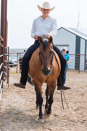 DAY3HORSE65