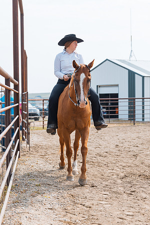 DAY3HORSE66