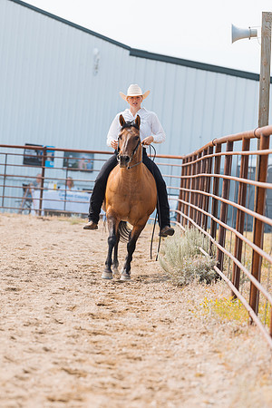 DAY3HORSE69