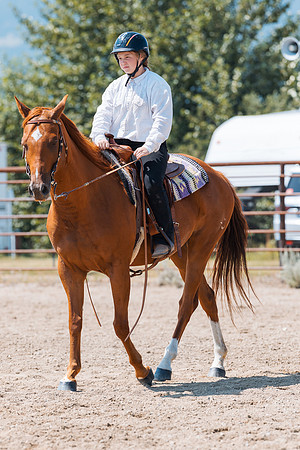 DAY3HORSE95