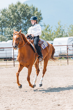DAY3HORSE101