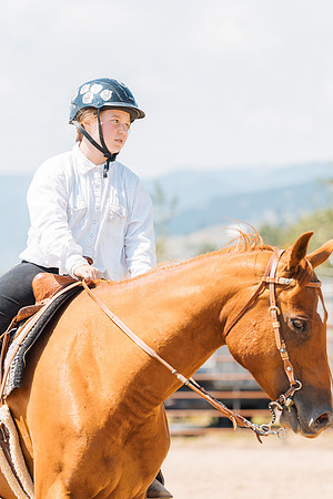 DAY3HORSE102