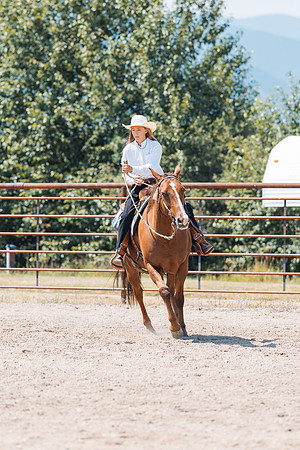 DAY3HORSE109