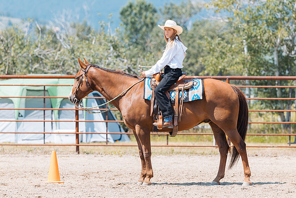 DAY3HORSE108