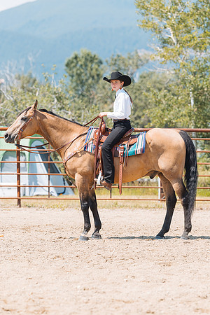 DAY3HORSE111