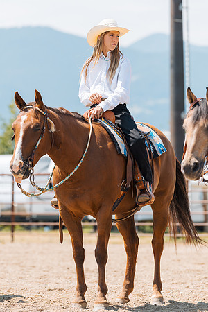 DAY3HORSE120