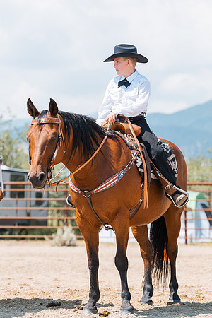 DAY3HORSE121