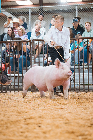 DAY4MARKETHOG16