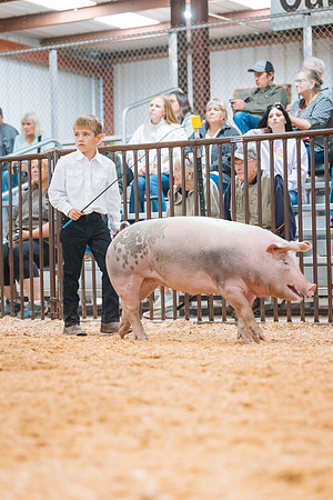 DAY4MARKETHOG53
