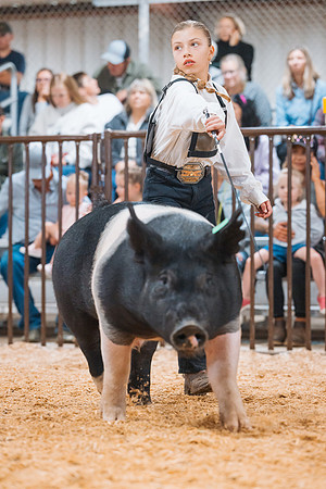 DAY4MARKETHOG123