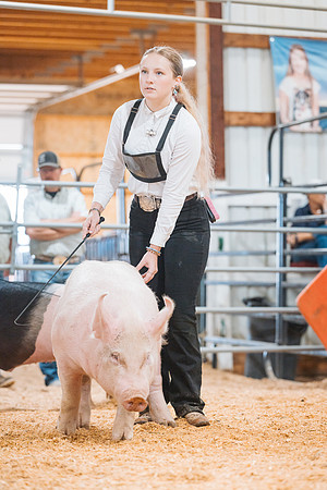 DAY4MARKETHOG125