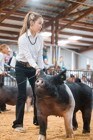 DAY4MARKETHOG139