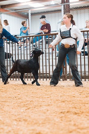 DAY4BREEDINGGOAT2