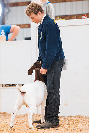DAY4BREEDINGGOAT6