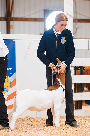 DAY4BREEDINGGOAT9