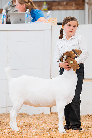 DAY4BREEDINGGOAT15