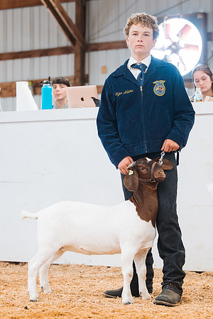 DAY4BREEDINGGOAT16