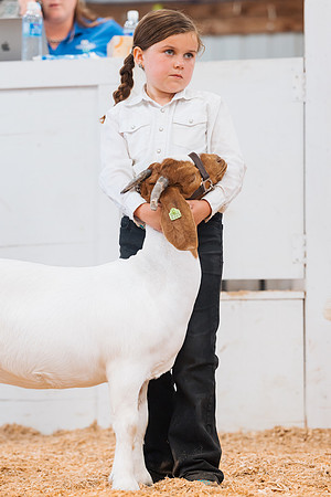 DAY4BREEDINGGOAT20