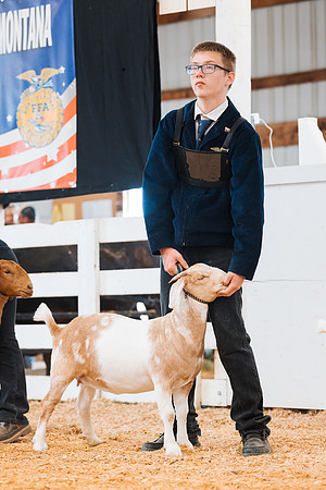 DAY4BREEDINGGOAT18