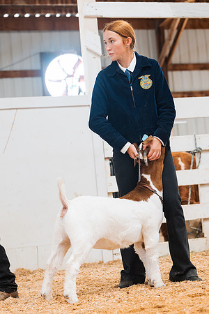 DAY4BREEDINGGOAT19