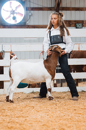 DAY4BREEDINGGOAT25