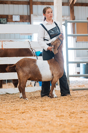 DAY4BREEDINGGOAT24