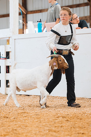 DAY4BREEDINGGOAT30