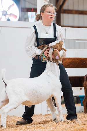 DAY4BREEDINGGOAT34