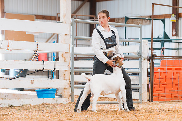 DAY4BREEDINGGOAT32