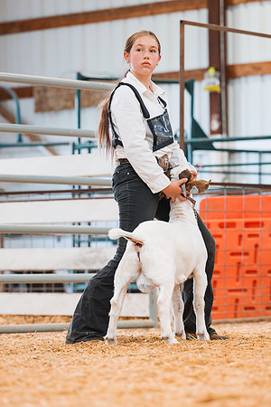 DAY4BREEDINGGOAT36