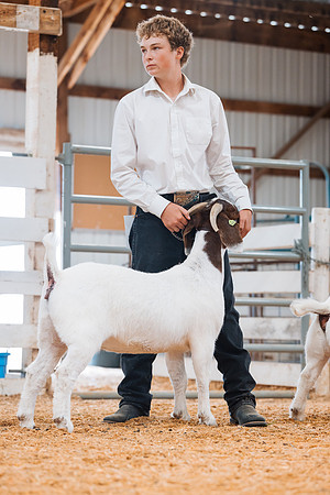 DAY4BREEDINGGOAT40