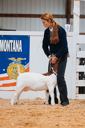 DAY4BREEDINGGOAT41