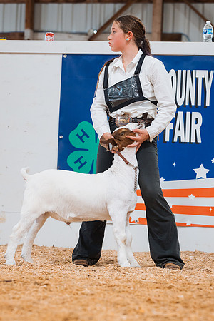 DAY4BREEDINGGOAT45