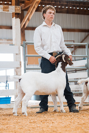 DAY4BREEDINGGOAT42